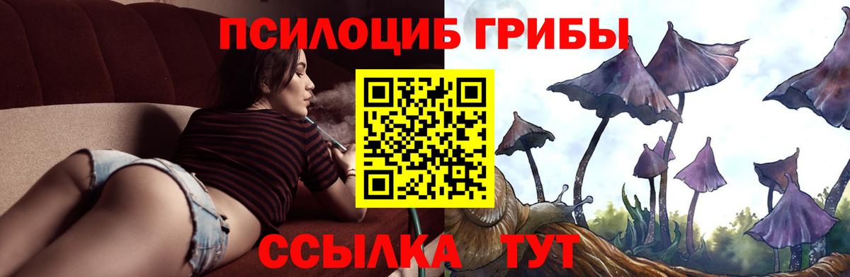 Дедовск  Псилоцибиновые грибы мицелий  Псилоцибиновые грибы Psilocybine cubensis  Вход с VPN 