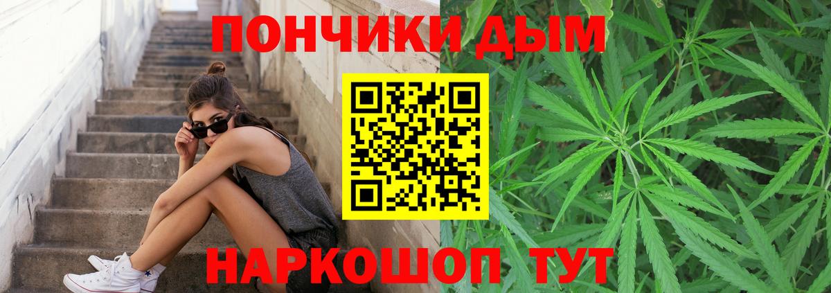 Дедовск  Шишки марихуана ГИДРОПОН  Вход с VPN  Конопля сатива  МАРИХУАНА Amnesia  Бошки марихуана семена 